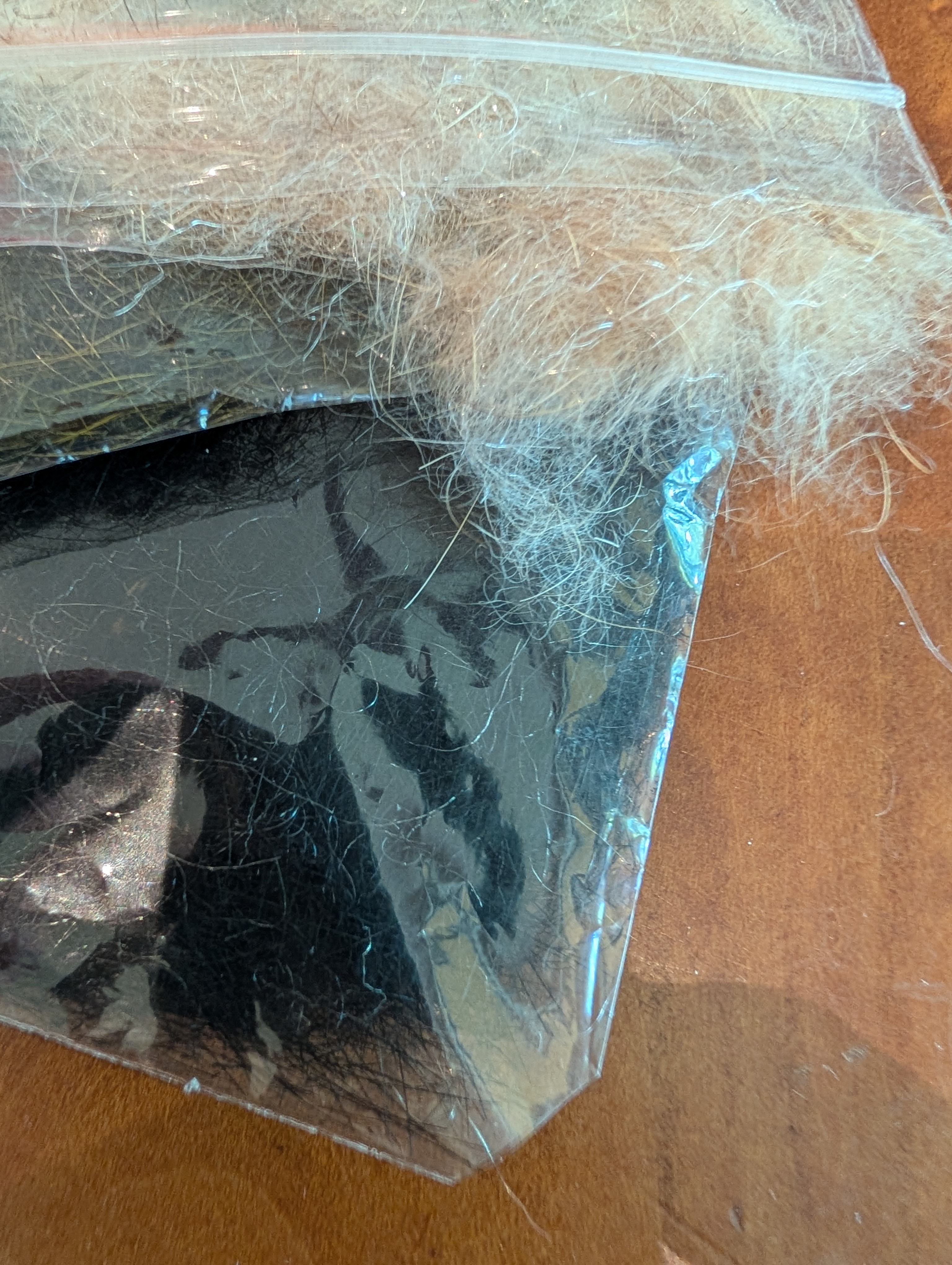 PXL_20260807_201802952.jpg